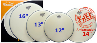 ProPack (12", 13", 16" Ambassador Coated + FREE 14" BA-0114-00)