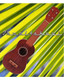 Mahogany Wood Pro soprano UKULELE+Free Gigbag NEW Uke - view 7