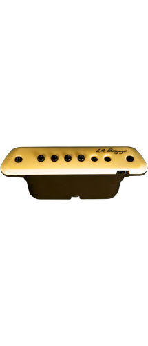 L.R.Baggs M1 Guitar Pickup