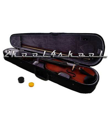 4/4 Electric-Acoustic Violin outfit NEW w/CASE+bow NEW