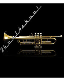 NEW Gold/Silver Bb TRUMPET +case+serial number WARRANTY