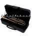 Bartok TRUMPET w/Case INTERMEDIATE NEW nickel/gold NEW - view 2