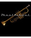 Bartok TRUMPET w/Case INTERMEDIATE NEW nickel/gold NEW - view 7