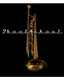 Bartok TRUMPET w/Case INTERMEDIATE NEW nickel/gold NEW - view 8