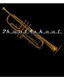 Bartok TRUMPET w/Case INTERMEDIATE NEW nickel/gold NEW - view 9