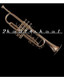 Bartok TRUMPET +Case INTERMEDIATE NEW nickel/silver NEW - view 4