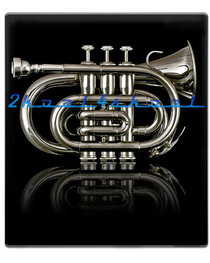Rossetti Pocket Trumpet Nickel small horn NEW WARRANTY