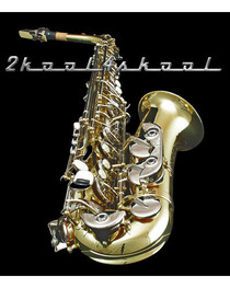Rossetti ALTO Saxophone Nickel/Gold sax silver+CASE NEW