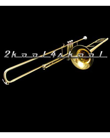 Rossetti Bb Valve Trombone w/Case+WARRANTY gold Lacquer