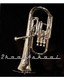 Rossetti Alto Horn NICKEL Eb Saxor +Case+NEW +Warranty