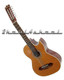 BAJO Sexto ELECTRIC-Acoustic 12 string NEW Guitar bass