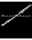 Silver C FLUTE Open Hole+Yamaha care kit Brand NEW - view 3