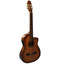 Palo Escrito Flamenco Style Acoustic Electric