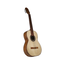 Cedar Top Classical Guitar