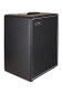 Laney DIGBETH Series 200 W Bass combo amp, 2 x 10"