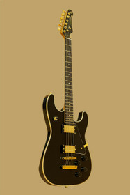 30th Anniversary Legacy series electric guitar