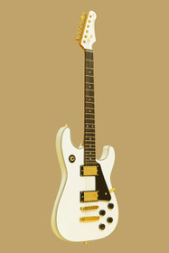 30th Anniversary Legacy series electric guitar