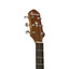 Crafter HD100-N EboTech fingerboard dot inlays and rosette detail