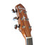 Crafter HD100-BR Body Binding Detail