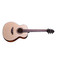 Crafter HM250-N body binding and wood rosette detail view