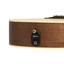 Crafter MIND T-ALPE N onboard preamp system with condenser gooseneck microphone