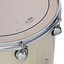 Premier Genista Classic bass drum detail with Remo Pinstripe UT drumhead