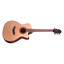 Detail shot of the Crafter ABLE T600CE N black body binding with purfling