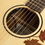 Close-up of the Crafter AL G-MAHO CE abalone and rosewood rosette