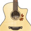 Crafter AL G-MAHO CE rosewood fingerboard with autumn leaves inlay detail
