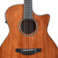 Close-up of the Crafter HG250-CE-BR soundhole with wood inlay rosette