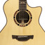 Close-up of the Crafter STG D20CE PRO soundhole with wood Crafter inlay rosette