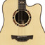 Close-up of the Crafter STG D22CE PRO rosewood bridge and compensated saddle