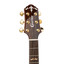 Detail of the Crafter STG G20CE PRO soundhole with wood Crafter inlay rosette
