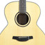 Close-up of the Crafter HJ250-N spruce top with wood inlay rosette and rosewood bridge