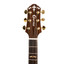 Close-up detail of the Crafter STG G22CE PROLH body with wood rosette inlay and white binding