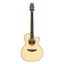 Detail of the Crafter STG T16CE PRO wood rosette inlay around the soundhole