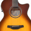 Close-up of the Crafter HT250-CE-BRS body showing the cutaway and wood inlay rosette