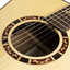 Onboard preamp system with gooseneck microphone included with the Crafter STG T20CE PRO
