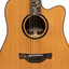 Close-up of the Crafter VL D28CE VVS fingerboard with tree of life inlays