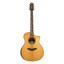 Back view of the Crafter VL G28CE VVS with layered Macassar ebony back and sides