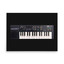 Casio SK-1 Sampling Keyboard Poster – 1985 Lo-Fi Sampler Toy Synth – view 1
