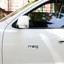 Moog Logo Sticker – Classic Synthesizer Badge – view 2