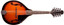 STAGG Tobacco Sunburst Bluegrass Mandolin With Basswood Top A Teardrop Body