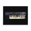 Casio SK-1 Keyboard Synthesizer Poster – view 1