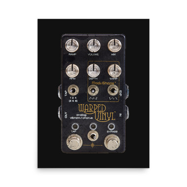 Warped Vinyl Guitar Pedal Poster – view 1