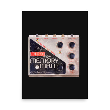 Electro-Harmonix Deluxe Memory Man Guitar Pedal Poster – view 1
