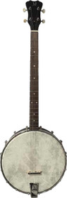J.N Guitars Moon S4 4-string open-back banjo, front view