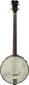 J.N Guitars Moon S4 4-string open-back banjo, front view