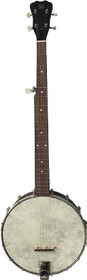J.N Guitars Moon S5 5-string open-back banjo, front view