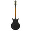 Aria Pro II 212-MK2 Bowery Brown Sunburst guitar - Full back view